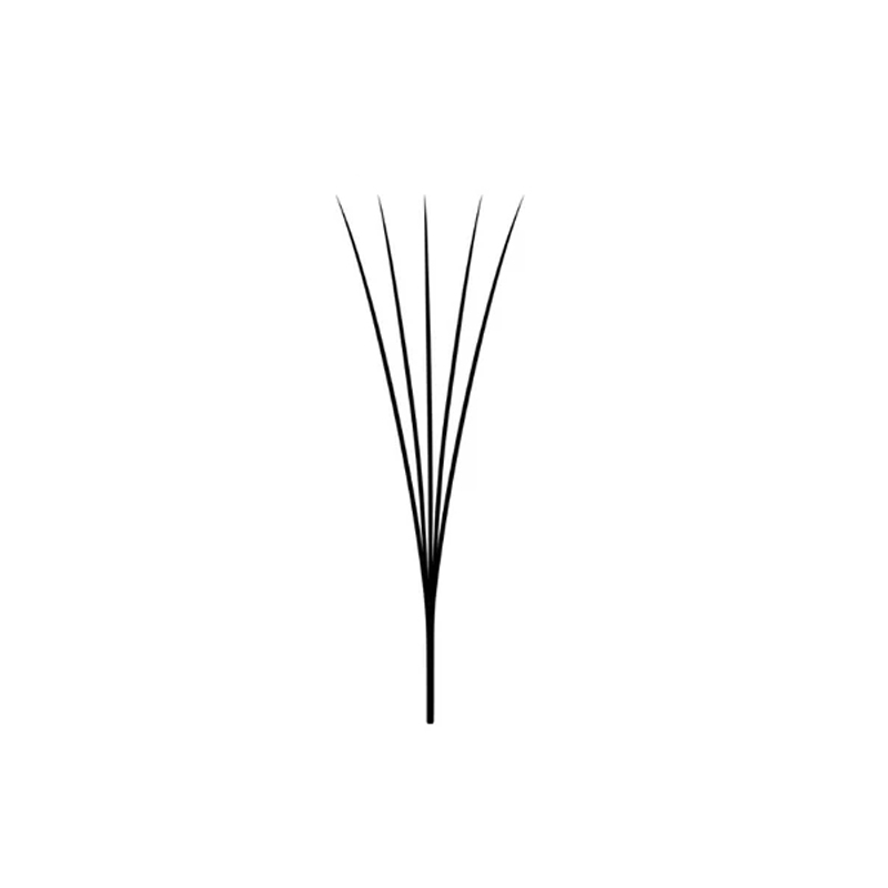 Narrow Fans Long Stem