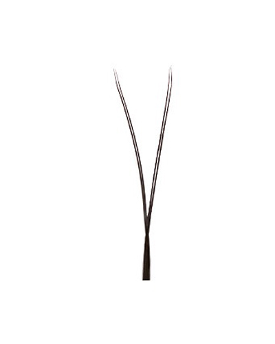 Narrow YY Lashes