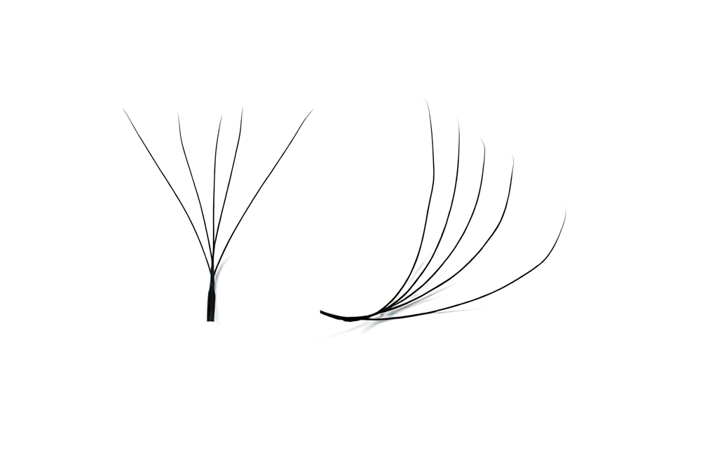 5D Lashes