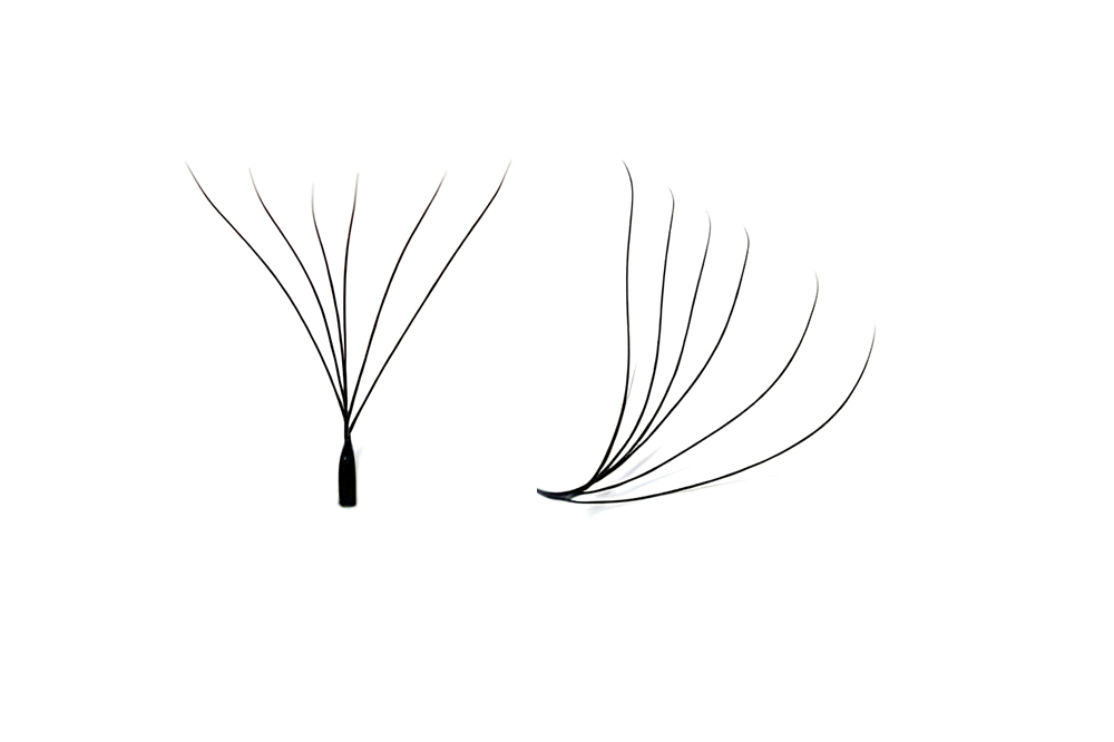 6D Lashes