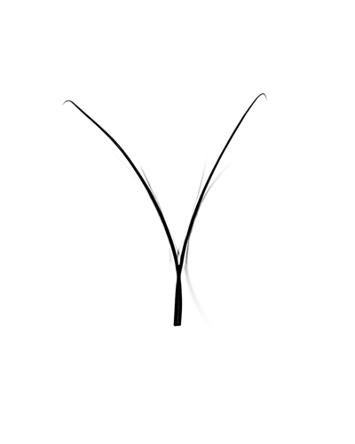 YY Lashes